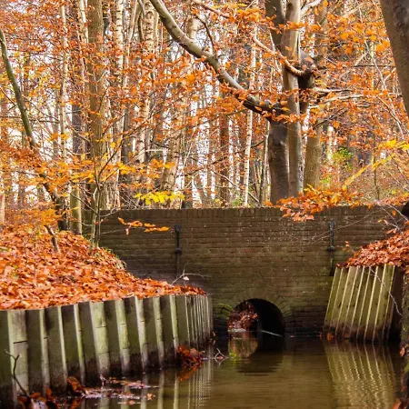 Koolmees * Hulshorst