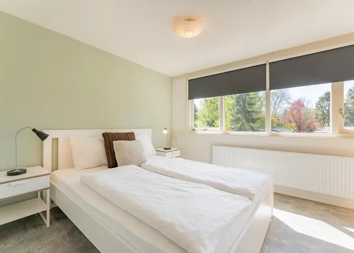 Koolmees * Hulshorst