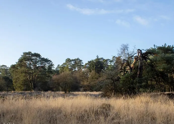 Semesterbostad Koolmees *