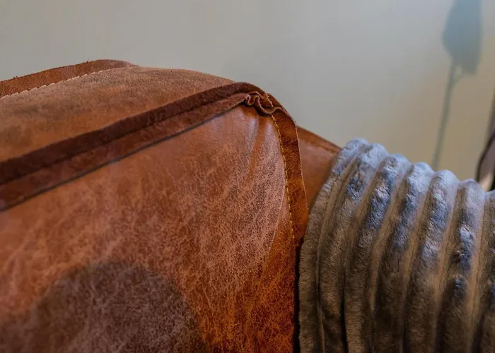 Koolmees * Hulshorst