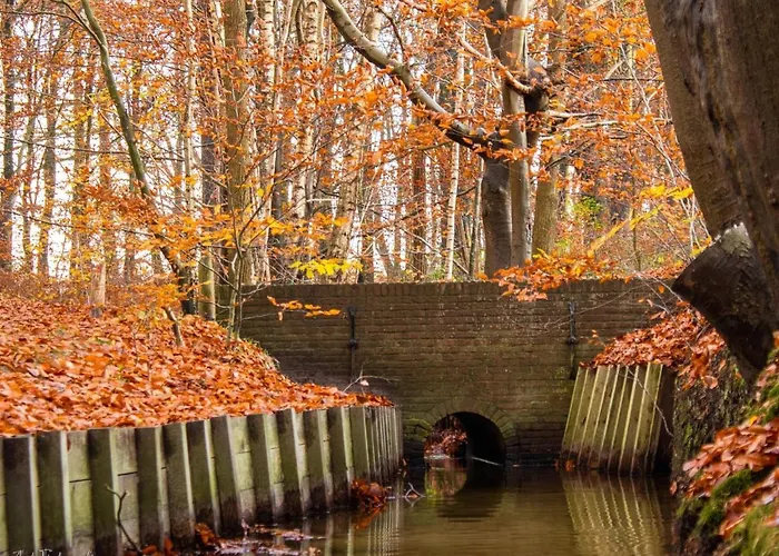 Koolmees * Hulshorst