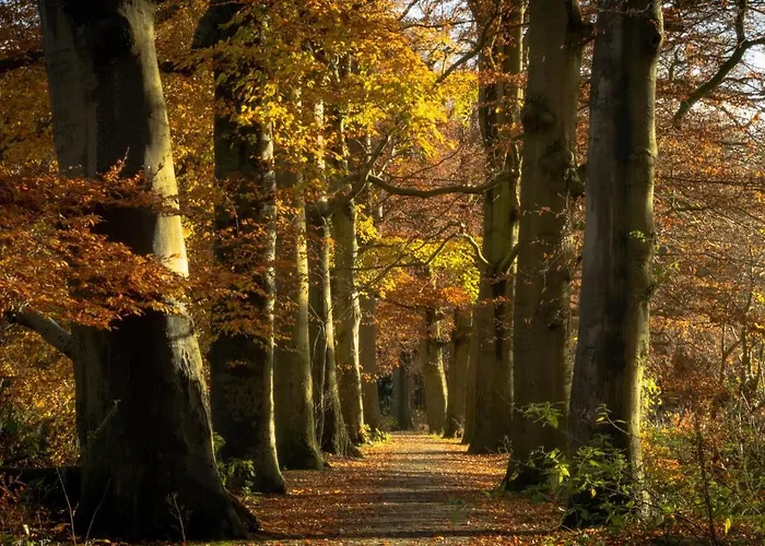 Semesterbostad Koolmees *